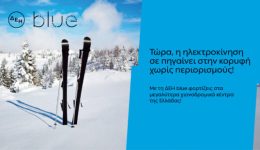 dei-blue-54-simia-fortisis-1