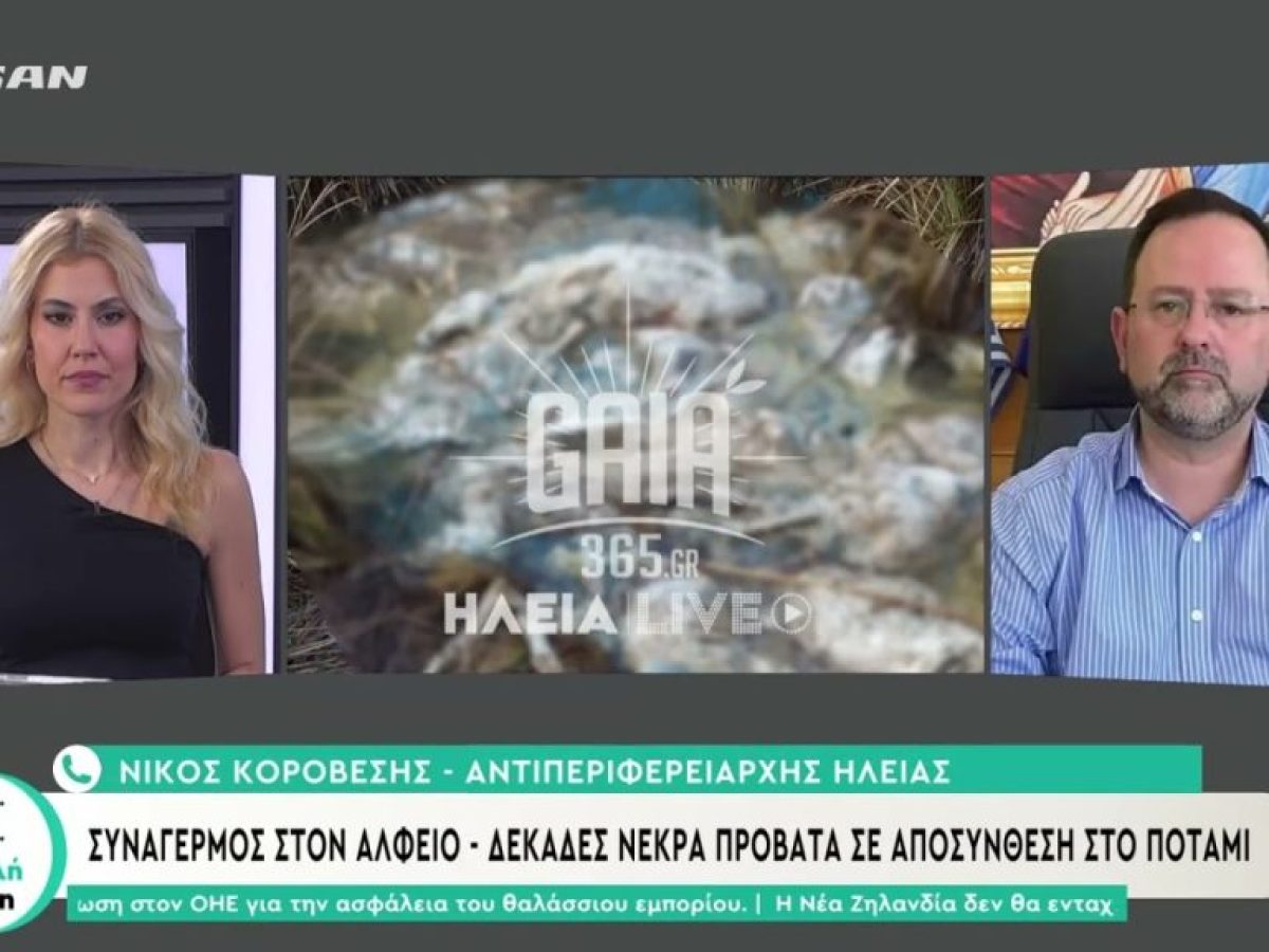 Δεκάδες νεκρά πρόβατα στον Αλφειό – «Είναι ανεγκέφαλοι»