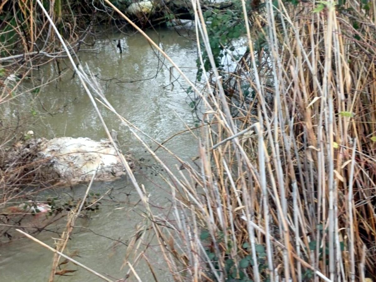 Δεν υπάρχει ελπίδα όσο υπάρχουν ασυνείδητοι