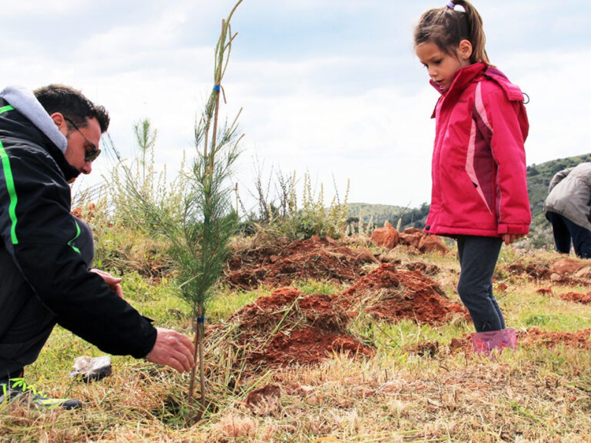 Δενδροφύτευση στον λόφο ΛΟΚ στο Καβούρι