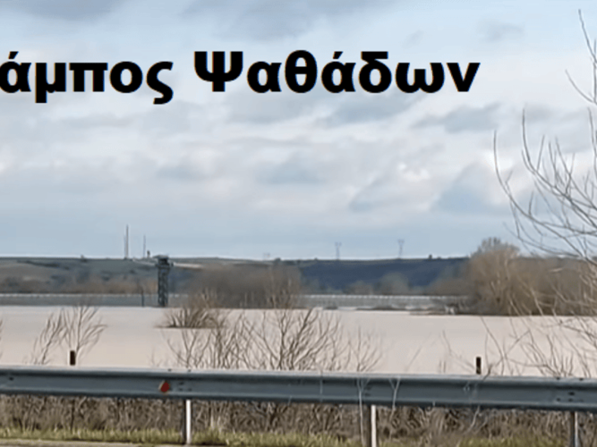 &Delta;&Epsilon;&Upsilon;&Alpha; &Delta;&iota;&delta;&upsilon;&mu;&omicron;&tau;&epsilon;ί&chi;&omicron;&upsilon;: &Pi;&Rho;&Omicron;&Sigma;&Omicron;&Chi;&Eta;, &alpha;&kappa;&alpha;&tau;ά&lambda;&lambda;&eta;&lambda;&omicron; &gamma;&iota;&alpha; &chi;&rho;ή&sigma;&eta; &tau;&omicron; &nu;&epsilon;&rho;ό &sigma;&epsilon; &Psi;&alpha;&theta;ά&delta;&epsilon;&sigmaf;, &pi;&epsilon;&rho;&iota;&omicron;&chi;ή &Tau;&sigma;ί&gamma;&gamma;&lambda;&alpha;&sigmaf; &kappa;&alpha;&iota; &Sigma;&Omicron;&Alpha; &Alpha;&epsilon;&rho;&omicron;&pi;&omicron;&rho;ί&alpha;&sigmaf;