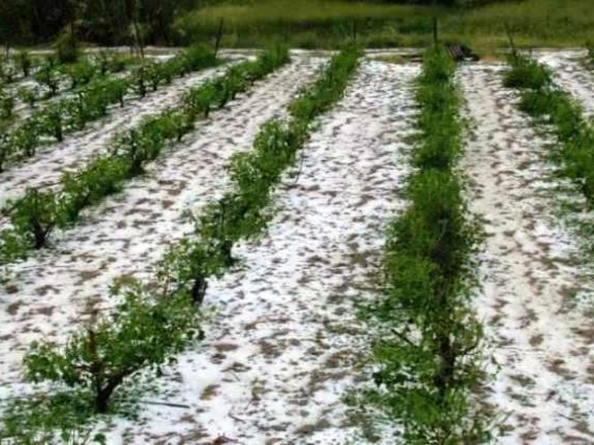 Δηλώσεις ζημιών από την κακοκαιρία – Σε ποια χωριά, πότε και που οι αιτήσεις