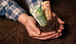 dimiourgite-Αgrotikos-sillogos-Άrgous-mikinon-–