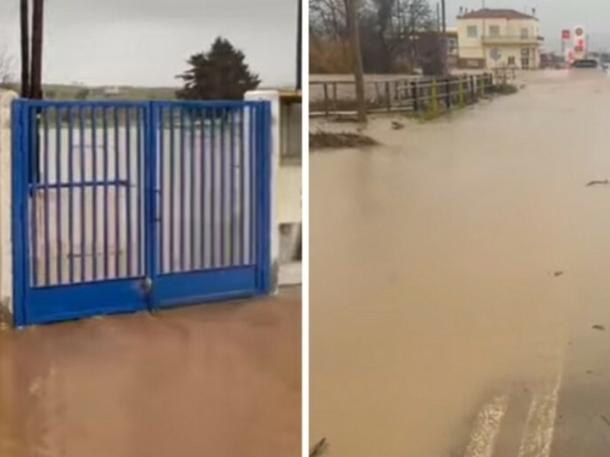 &Delta;ή&mu;&omicron;&sigmaf; &Alpha;&lambda;&epsilon;&xi;&alpha;&nu;&delta;&rho;&omicron;ύ&pi;&omicron;&lambda;&eta;&sigmaf;: &Pi;&alpha;&rho;&omicron;&upsilon;&sigma;&iota;ά&zeta;&epsilon;&iota; &alpha;&pi;ό&psi;&epsilon; &alpha;&nu;&omicron;&iota;&chi;&tau;ά &sigma;&tau;&omicron;&nu; &Alpha;&pi;&alpha;&lambda;ό &tau;&eta;&nu; &mu;&epsilon;&lambda;έ&tau;&eta; &alpha;&nu;&tau;&iota;&pi;&lambda;&eta;&mu;&mu;&upsilon;&rho;&iota;&kappa;ώ&nu; έ&rho;&gamma;&omega;&nu;