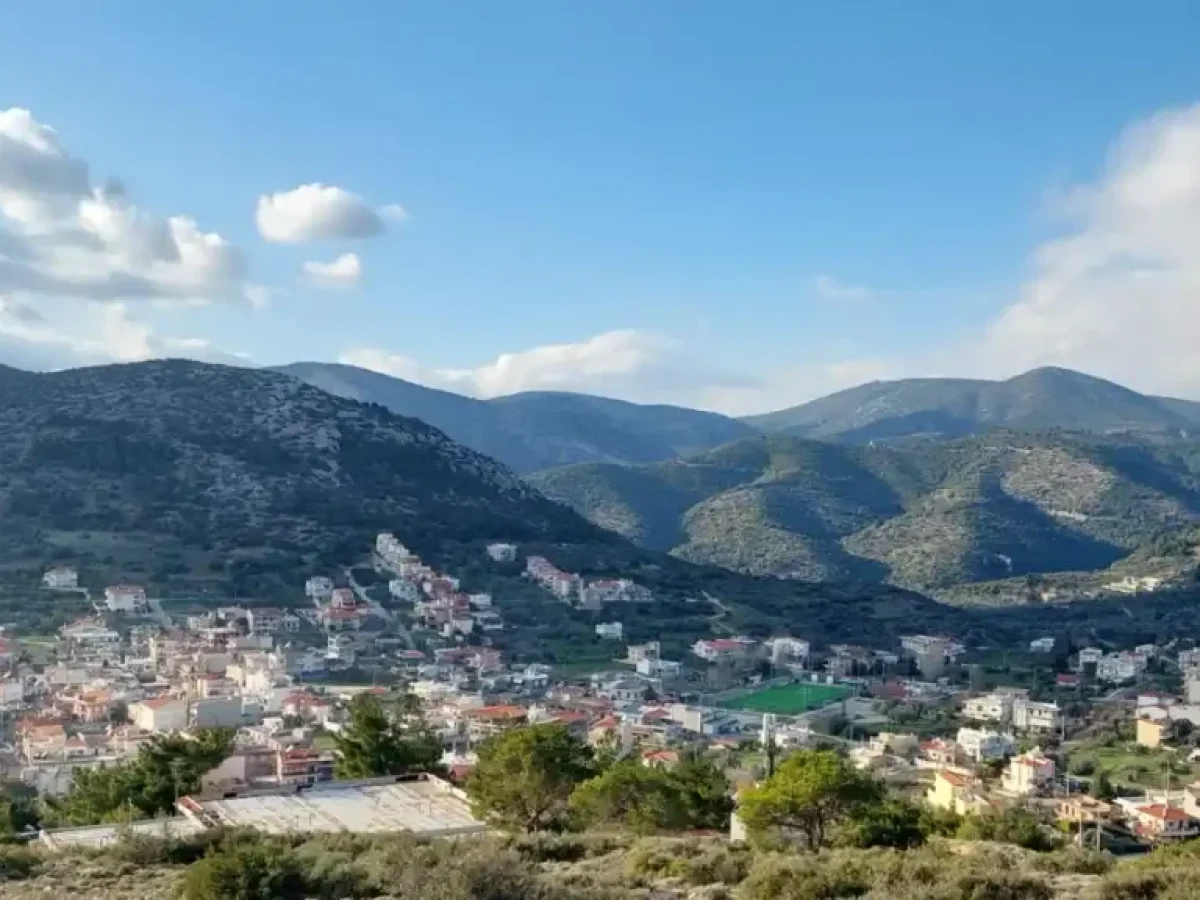 &Delta;&upsilon;&tau;&iota;&kappa;ή &Alpha;&tau;&tau;&iota;&kappa;ή: &Tau;&omicron; &laquo;&Iota;&epsilon;&rho;ό &Tau;&rho;ί&gamma;&omega;&nu;&omicron;&raquo; &tau;&omicron;&upsilon; &kappa;&rho;έ&alpha;&tau;&omicron;&sigmaf; &gamma;&iota;&alpha; &tau;&eta;&nu; &Tau;&sigma;&iota;&kappa;&nu;&omicron;&pi;έ&mu;&pi;&tau;&eta; &ndash; &Chi;&alpha;&sigma;&iota;ά, &Mu;ά&nu;&delta;&rho;&alpha; ή &Beta;ί&lambda;&iota;&alpha;;