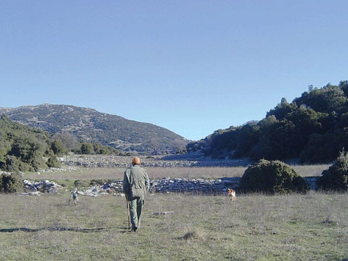 Δυτική Αχαΐα: Αναγγελίες ζημιών σε καλλιέργειες από έντονα καιρικά φαινόμενα