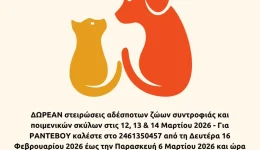 divdimos-kozanis-dorean-stirosis-adespoton
