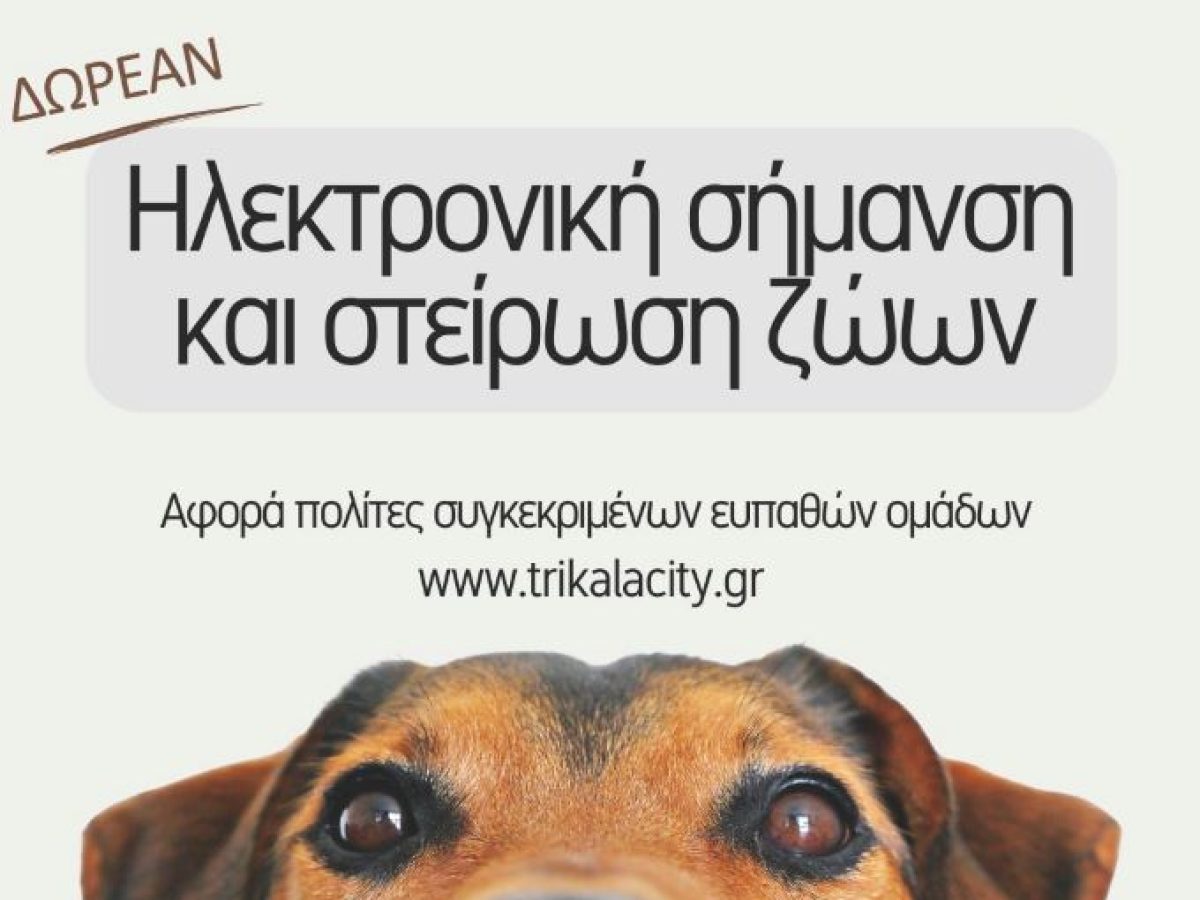 Και το 2026 δωρεάν τσιπάρισμα & στείρωση δεσποζόμενων ζώων από τον Δ. Τρικκαίων – Αιτήσεις  και δικαιούχοι