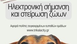 divke-to-2026-dorean-tsiparisma-2