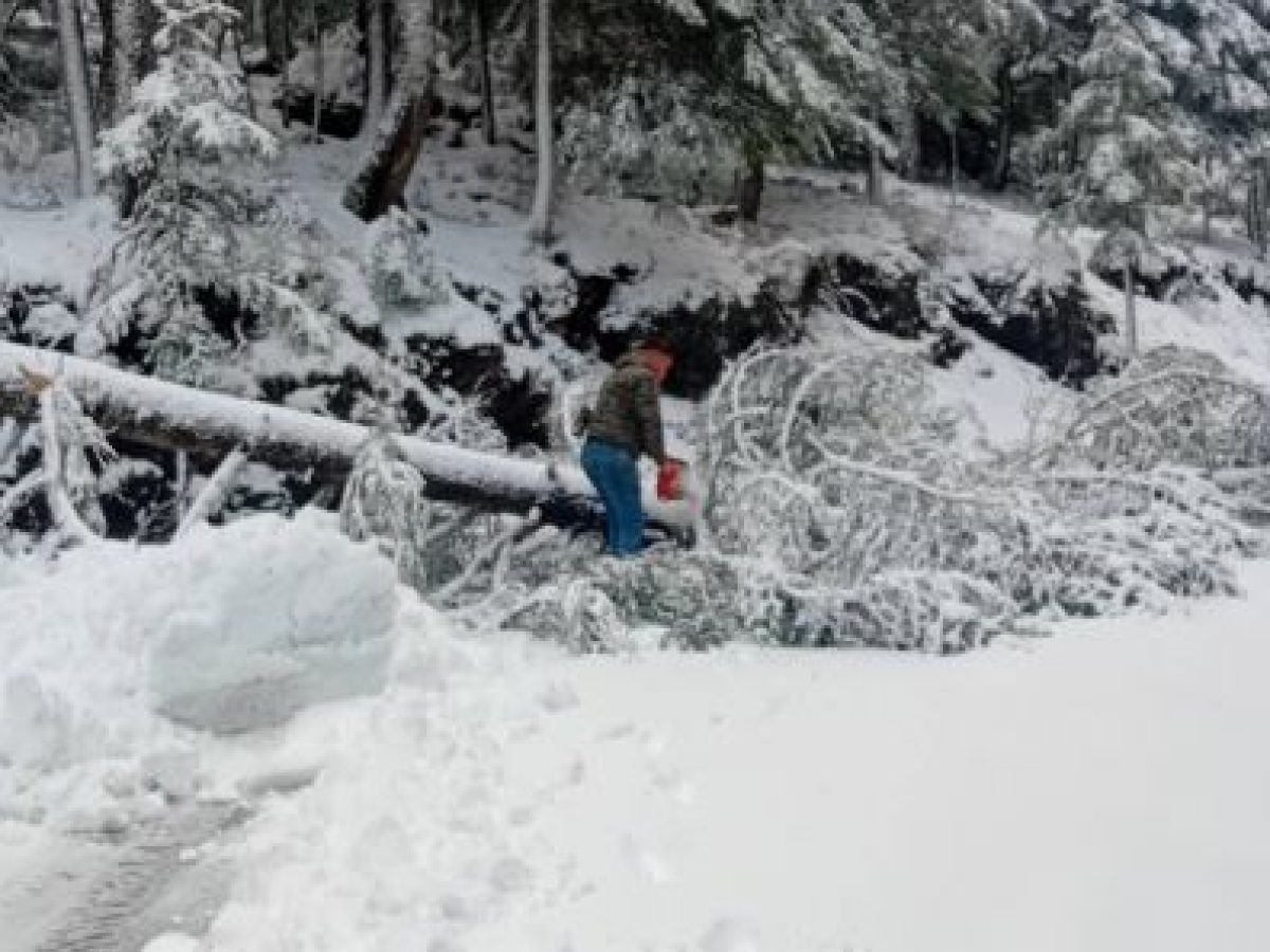 “Μάχη” μέσα στα χιόνια για να παραμείνουν ανοιχτοί οι δρόμοι στη Γορτυνία (vd)