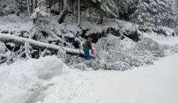 divmachi-mesa-sta-chionia-gia-2