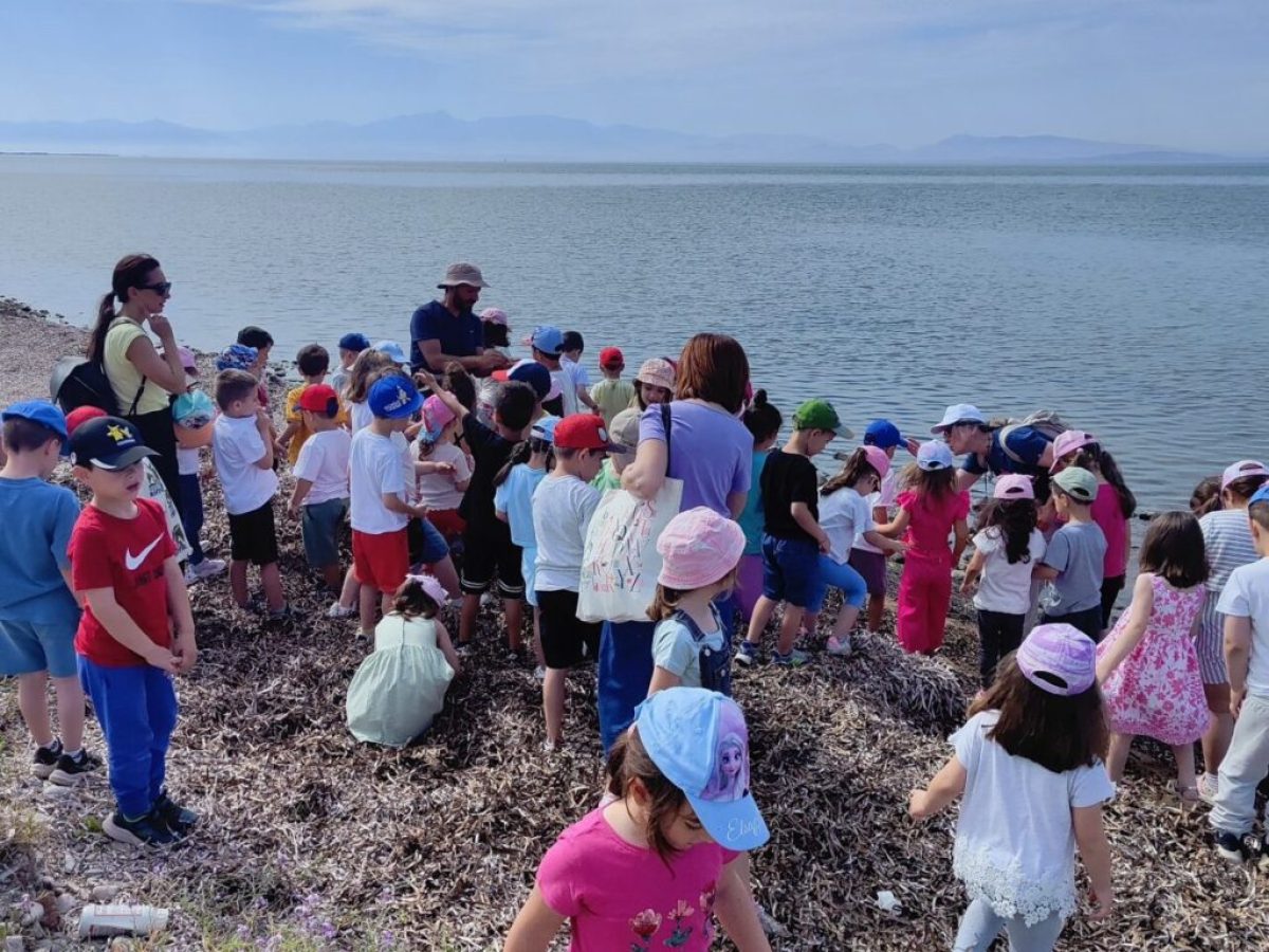Δωρεάν πληροφοριακό – εκπαιδευτικό υλικό από το Κ.Ε.ΠΕ.Α. Μεσολογγίου με αφορμή τον εορτασμό της Παγκόσμιας Ημέρας Υγροτόπων
