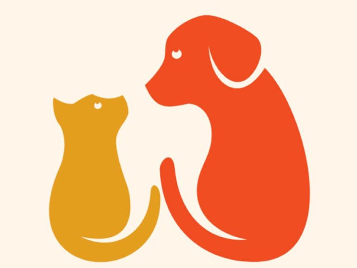 Δωρεάν: Στειρώσεις αδέσποτων ζώων στην Κοζάνη στις 12–14 Μαρτίου