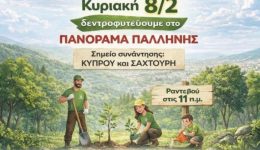 drasi-dentrofitefsis-sto-panorama-pallinis-1
