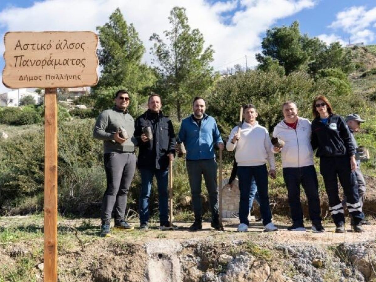 Δράση δεντροφύτευσης στο Πανόραμα Παλλήνης: Φυτεύτηκαν πάνω από 1.000 δέντρα