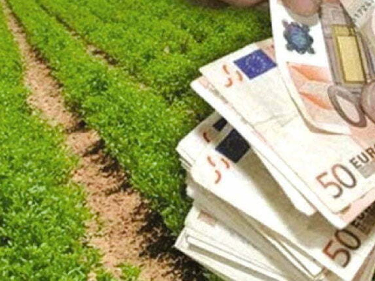 Ε.Α.Σ. : Οδηγίες στους απλήρωτους παραγωγούς λόγω Monitoring 2025