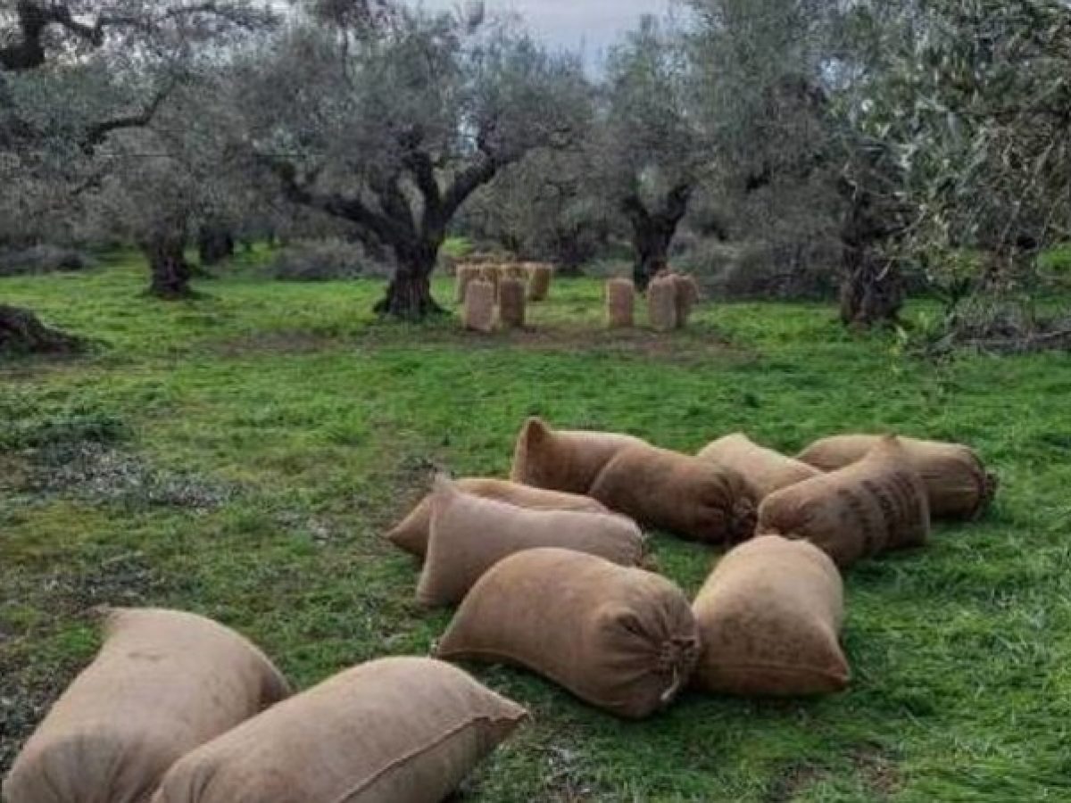 Ευκαιρία διορθώσεων για αγρότες και κτηνοτρόφους