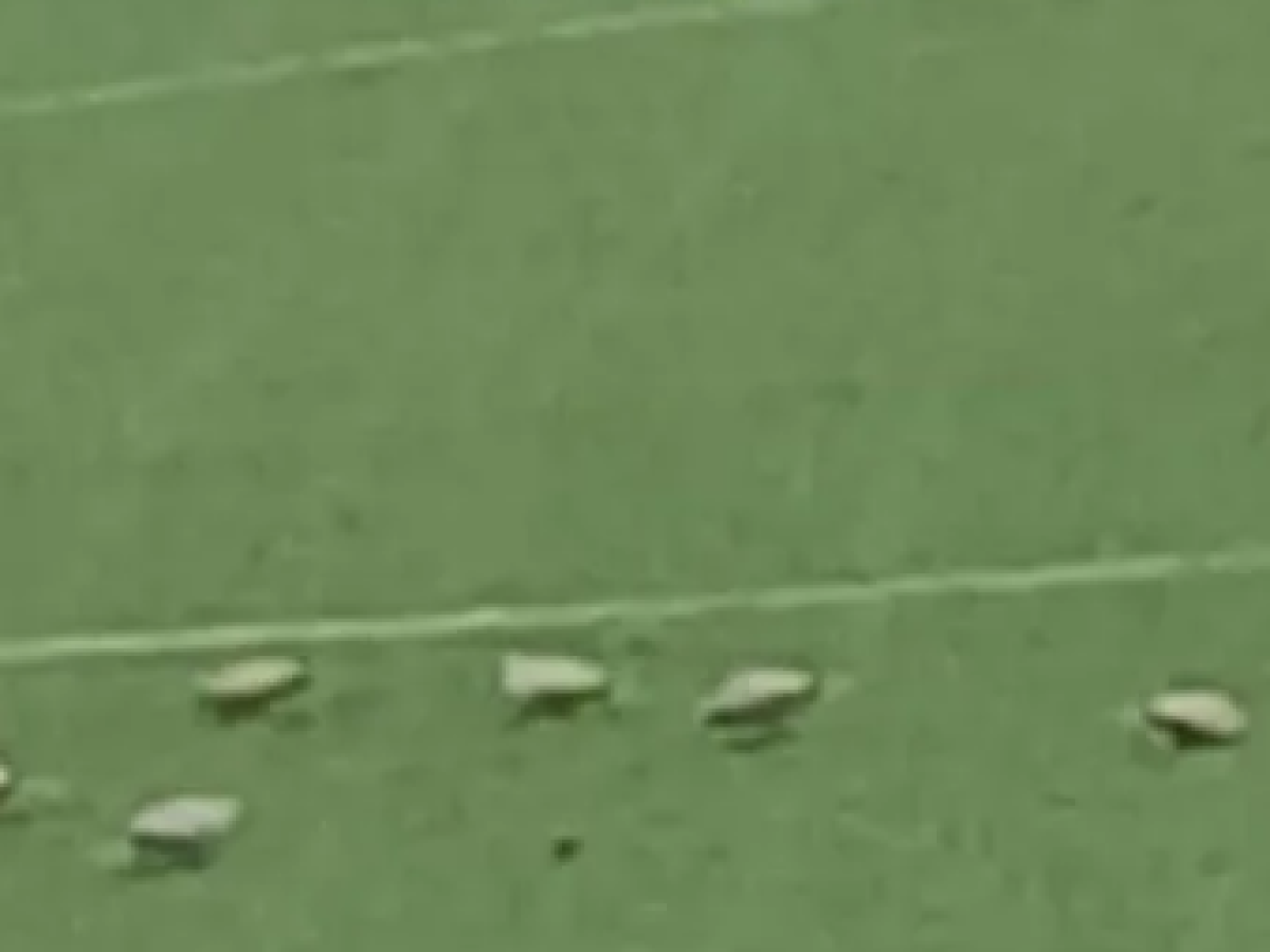 Εφτά περιστέρια στην Τούμπα – Ένα απροσδόκητο περιστατικό λίγο πριν το ΠΑΟΚ-Πανσερραϊκός