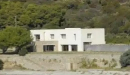 egkefaliko-o-idioktitis-Αgorase-sti-1