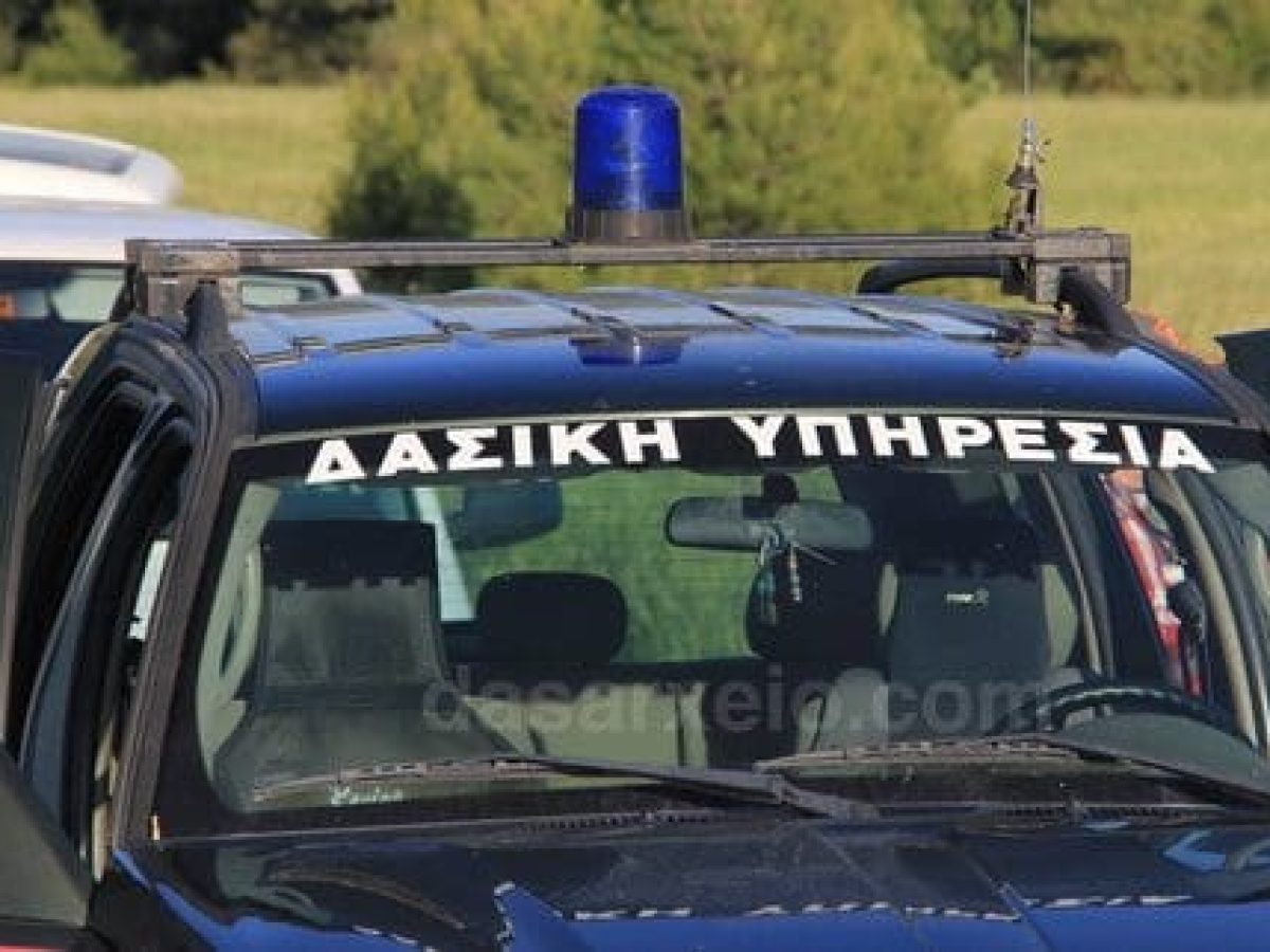 Έκκληση ενίσχυσης των Δασικών Υπηρεσιών Αιγαίου