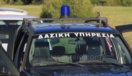 ekklisi-enischisis-ton-dasikon-ipiresion