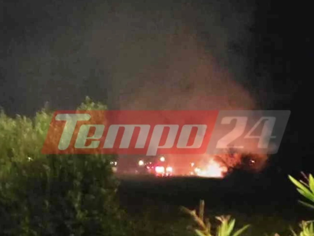 ΕΚΤΑΚΤΟ: Μεγάλη φωτιά σε πτηνοτροφική μονάδα στη Δυτική Αχαΐα – Ακούγονται εκρήξεις (ΦΩΤΟ)