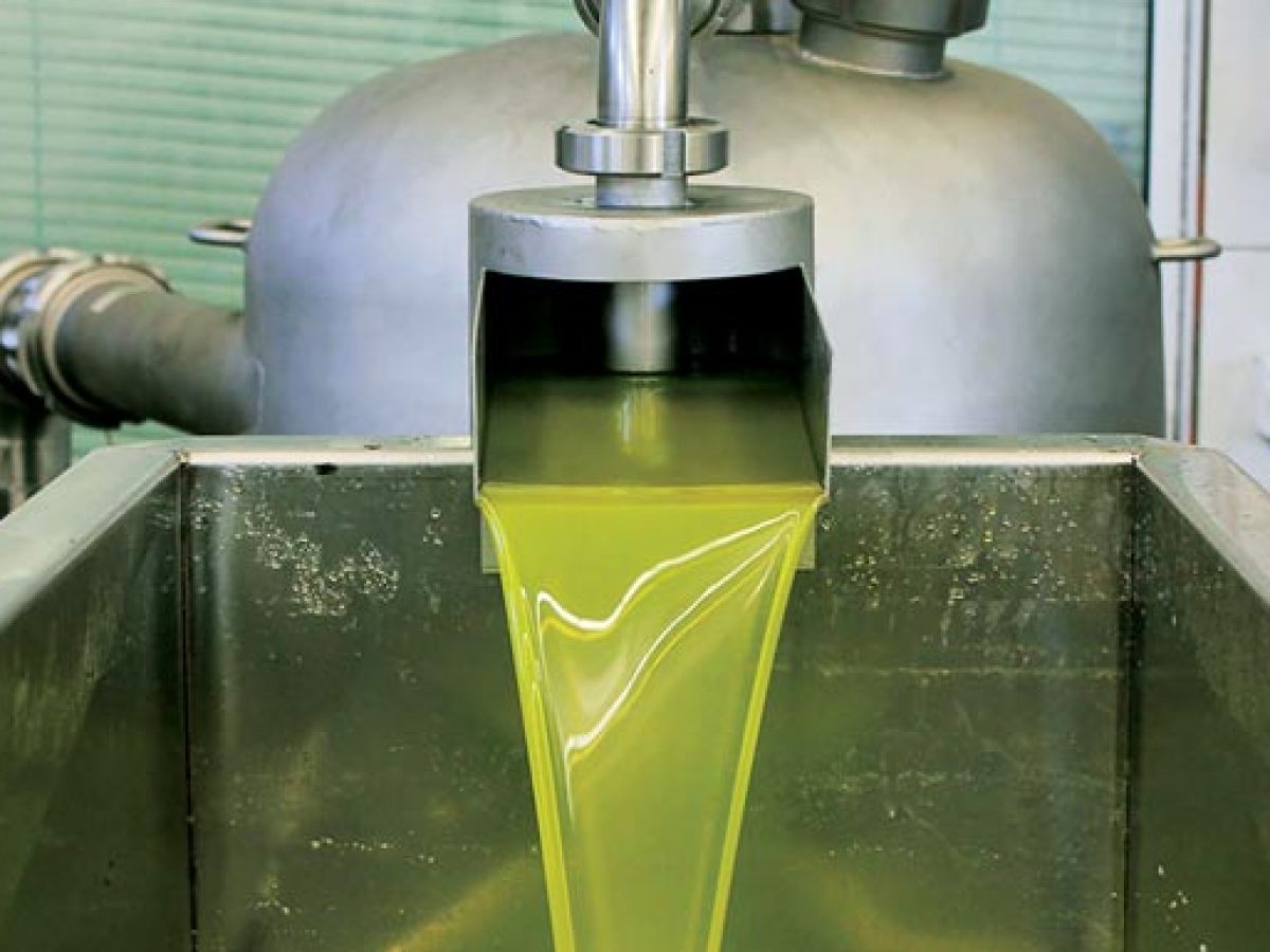 Ελαιόλαδο: Η προώθηση και η ποιοτική αναβάθμιση στο στόχαστρο της Περιφέρειας – Κάτω από 5 ευρώ η τιμή στην Κρήτη