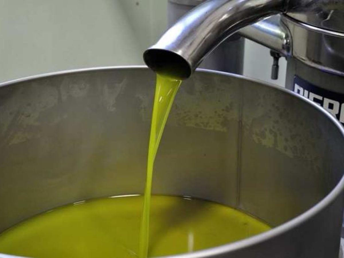 Ελαιόλαδο: «Παγωμένη» η αγορά στην Κρήτη – Καιρικές συνθήκες και αβεβαιότητα πιέζουν τις τιμές