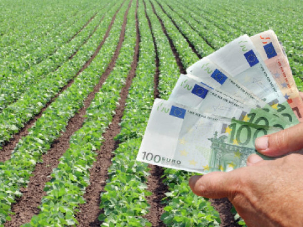 ΕΛΓΑ: Αποζημιώσεις 18.3 εκ. ευρώ σε 8.480 δικαιούχους για καλλιέργειες που υπέστησαν ζημίες πέρσι