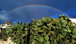 ena-entiposiako-ouranio-toxo-agkaliase