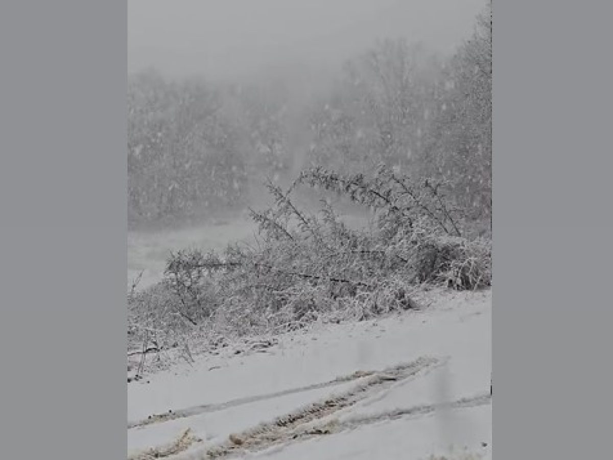 Έντονη χιονόπτωση σε περιοχές της Θεσσαλονίκης (VIDEO)