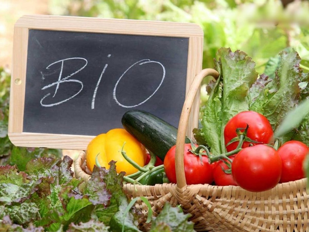 Επανέρχεται με νέο διοικητικό συμβούλιο η Ένωση Βιοκαλλιεργητών Αργολίδας