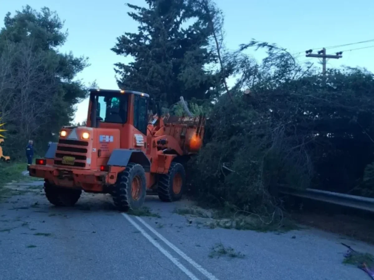 ΕΠΕΙΓΟΝ: Κλειστή η επαρχιακή οδός Κρυοπηγής – Πολυχρόνου λόγω πτώσης δέντρων