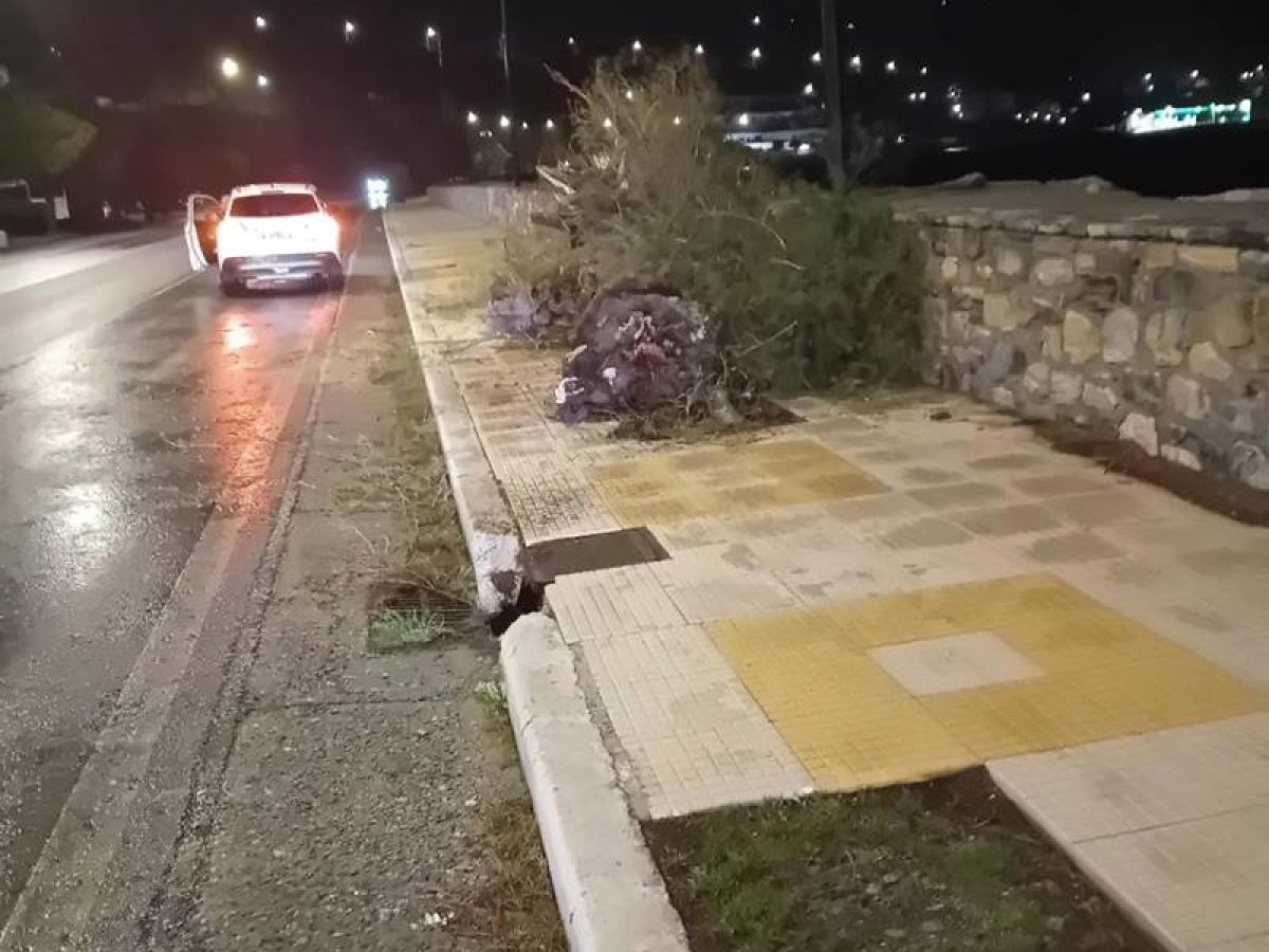 Έργα ασφάλειας και αναβάθμισης στην παραλιακή Σάμου. Τι είπε ο Βαγγέλης Τσεσμελής για δέντρα, φωτισμό και λιμάνι