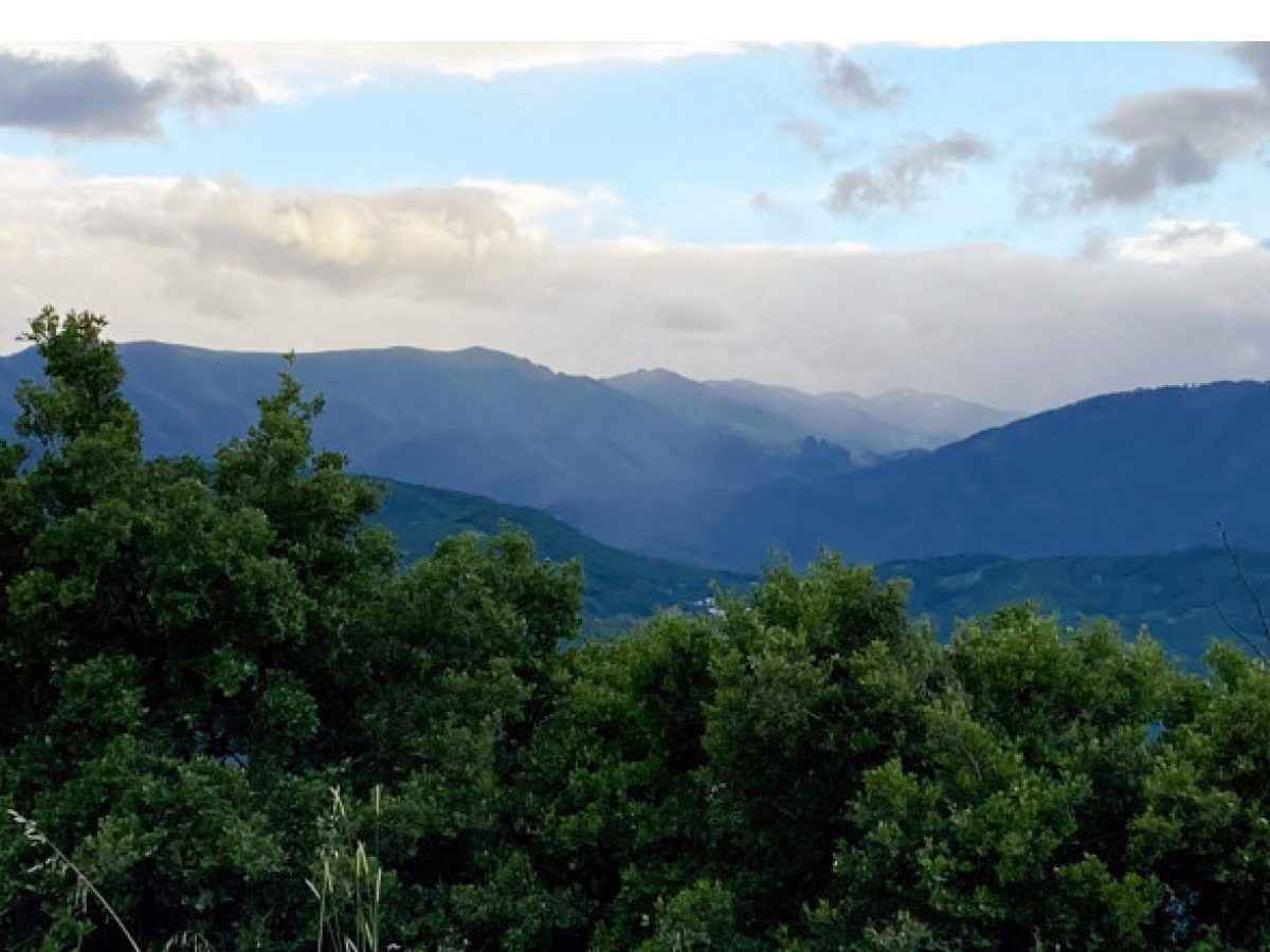 Έργα για την αντιπυρική προστασία στα δάση της Καλαμπάκας, των Τρικάλων, του Μουζακίου και Καρπενησίου