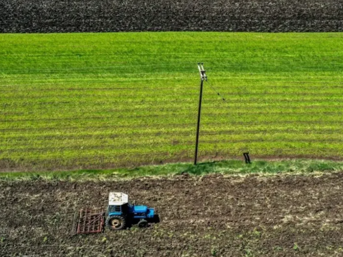 Εργάτες γης μέσω νέας πλατφόρμας – 5.000 εποχικοί εργαζόμενοι στη συμφωνία με Αίγυπτο