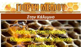 etima-sindiorganosis-giortis-meliou-apo