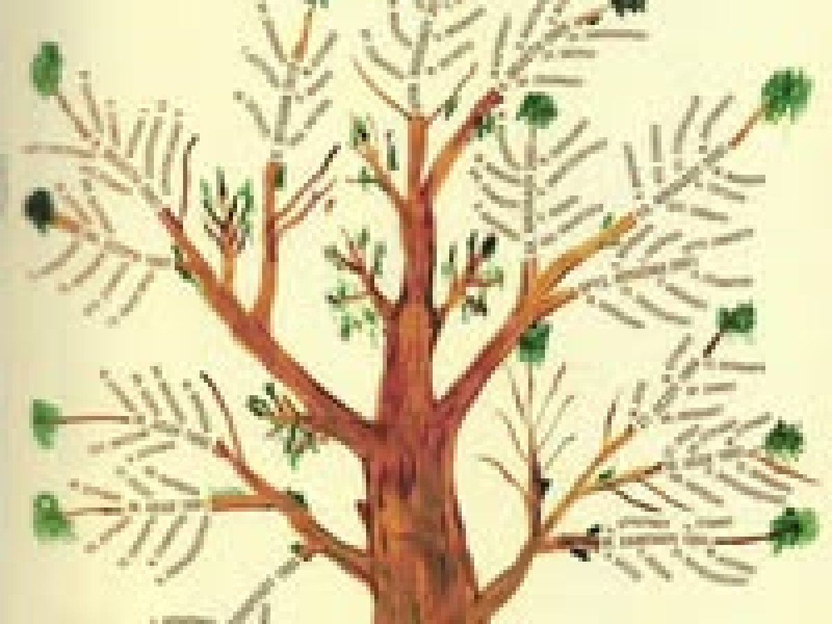 Ετήσια Συνέλευση για το Σύλλογο Γυναικών Αγίων Θεοδώρων την Κυριακή 8 Φεβρουαρίου