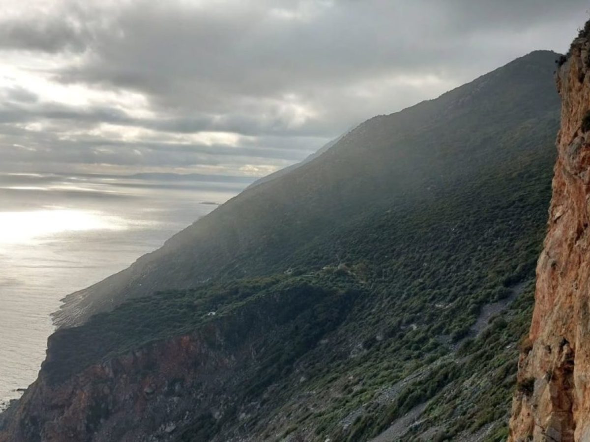 Έτρωγαν οχιές και ζούσαν περισσότερο; Το παράξενο μυστικό του Αγίου Όρους