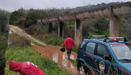 exafanisi-ilikiomenis-sto-kenourgio-&ndash;