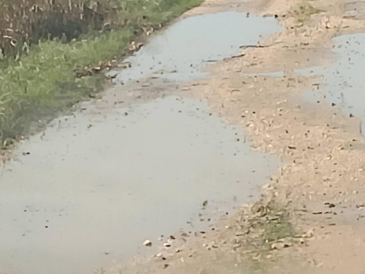 Φίλιππας Λιάκος: “Αγανάκτηση των πολιτών για την αγροτική οδοποιία”
