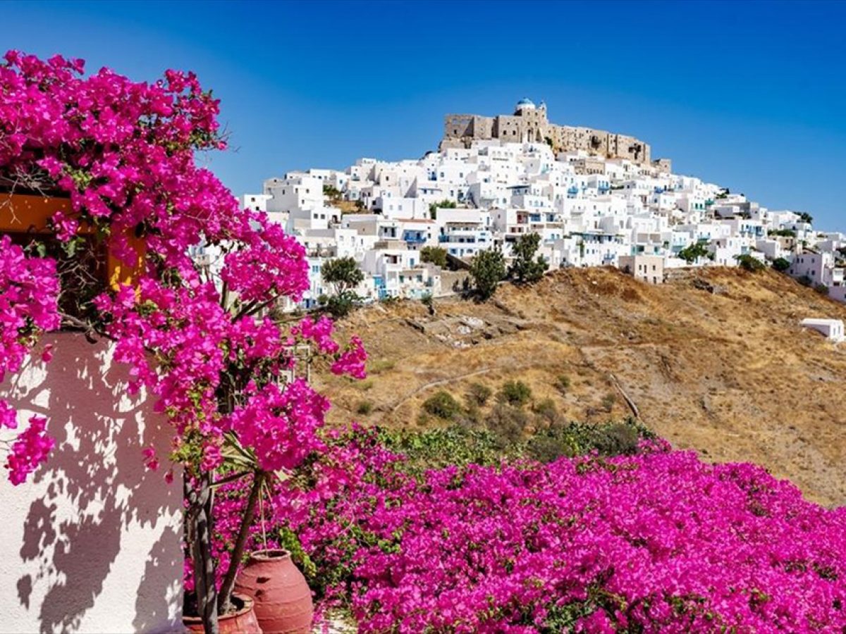 Φυτά από το Περιφερειακό Φυτώριο θα στολίσουν την Πάτμο