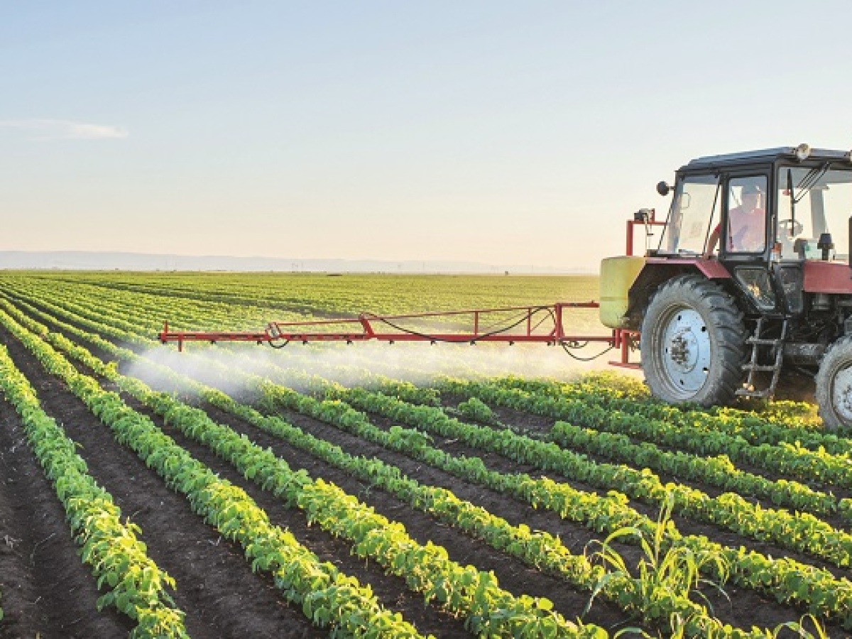 Φυτοφάρμακα: 98,2% των δειγμάτων των δειγμάτων Δεκεμβρίου 2025 εντός ορίων ασφαλείας