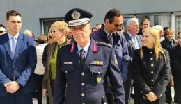 foto-timisan-tous-pesontes