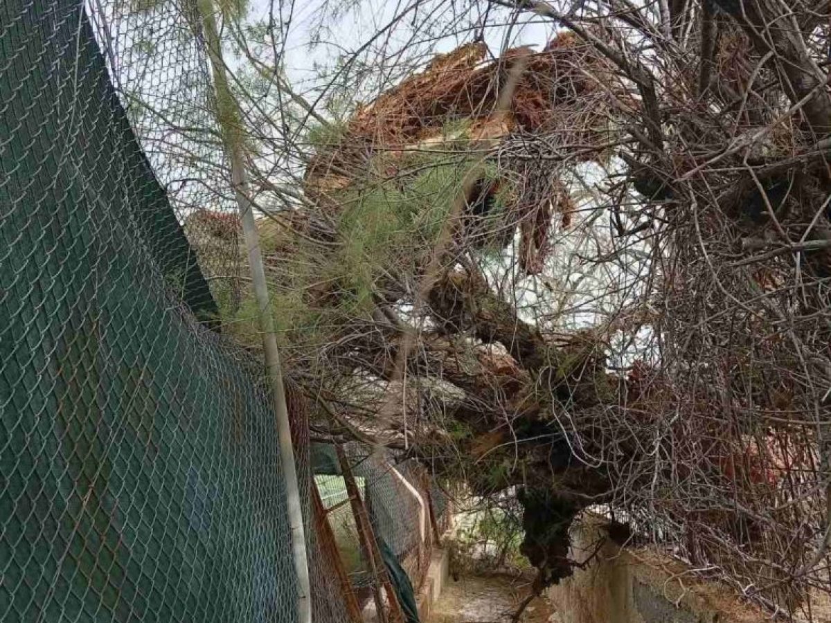 ΦΩΤΟ | Ζημιές από τον δυνατό αέρα στο γήπεδο της Αγ. Μαρίνας! Έπεσε δένδρο, μετακινήθηκε η εξέδρα!