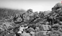 fotografies-ntokoumenta-apo-tis-thiriodies