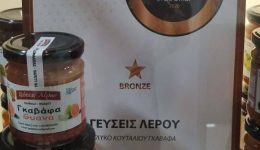 gefsis-lerou-vravevmenes-dimiourgies-apo