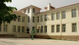 giagia-sta-trikala-epitethike-ston