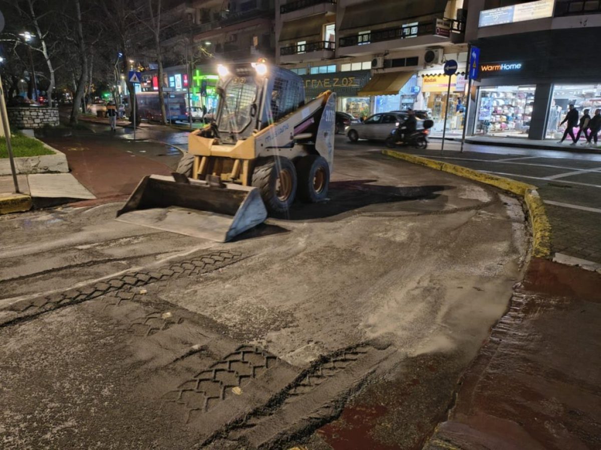 Γιατί άμμος και όχι πριονίδι