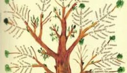 giorti-gia-tin-imera-tis